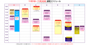 11月　schedule